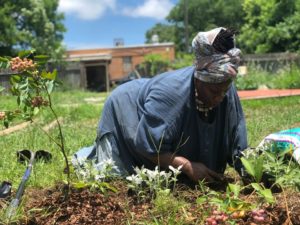 A woman works in the garden with Cooperation Jackson