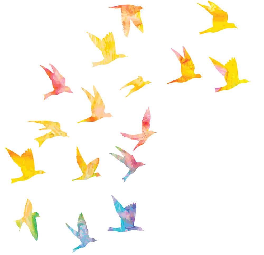 A flock of watercolor bird silhouettes in bright colors.