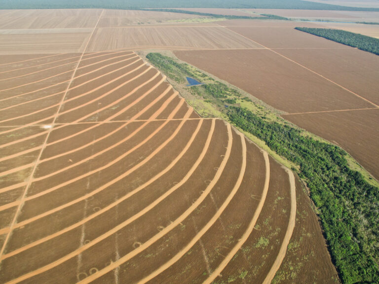 The Amazon in Mato Grosso. Geometrical lines scar the landscape indicating that, since 1988, Mato Grosso has lost more forest than any other state in the Brazilian Amazon. Photo Credit: Riccardo Pravettoni via GRID-Arendal resources library.