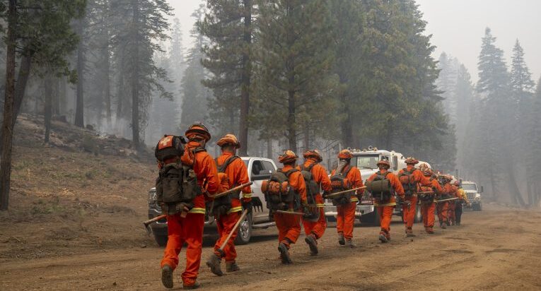 Firefighters at the Dixie Fire, Lassen National Forest, California. Public Domain via Flickr