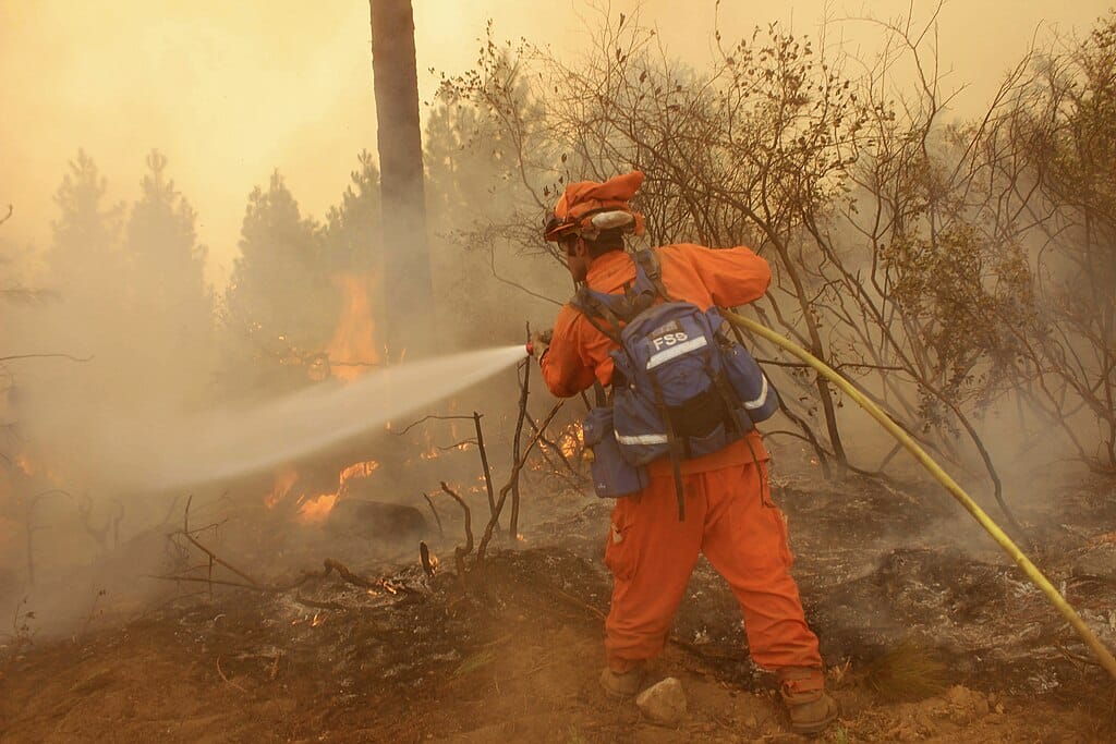 Incarcerated firefighters spray down a hotspot at the Rim Fire in the Stanislaus National Forest in California. U.S. Forest Service photo by Mike McMillan.