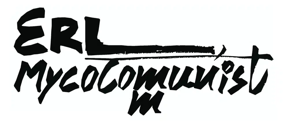 Anupam Roy, Calligraphy Art for Erl in "Stink Ape Resurrection Primer," Locust Review, April 27, 2022.