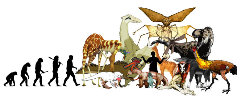 Banner for Speculative Evolution Facebook Group. Via Deviant Art