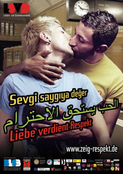 LSVD Poster