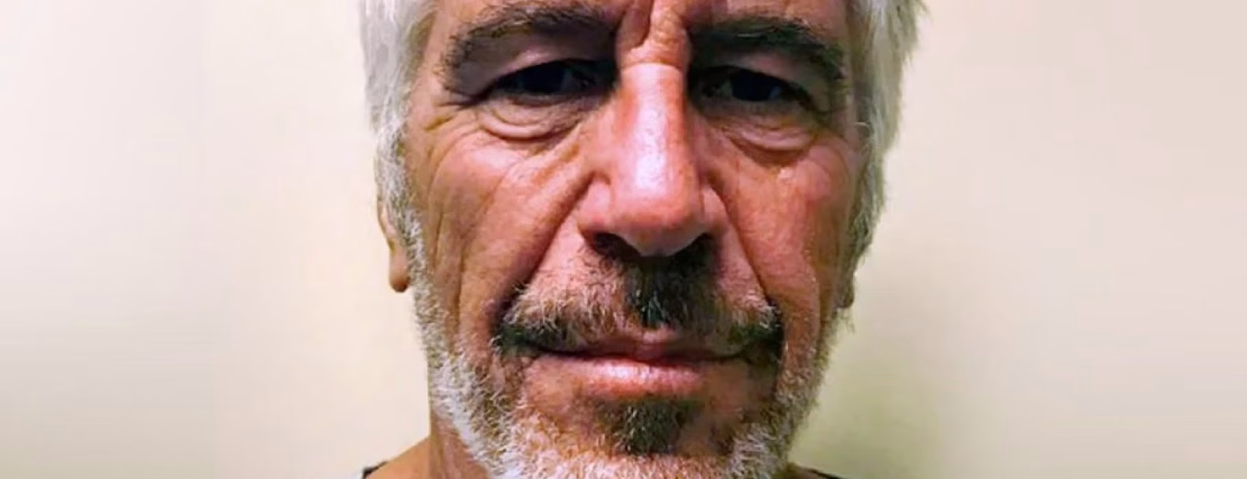 Jeffrey Epstein Photo Credit: Die Heute