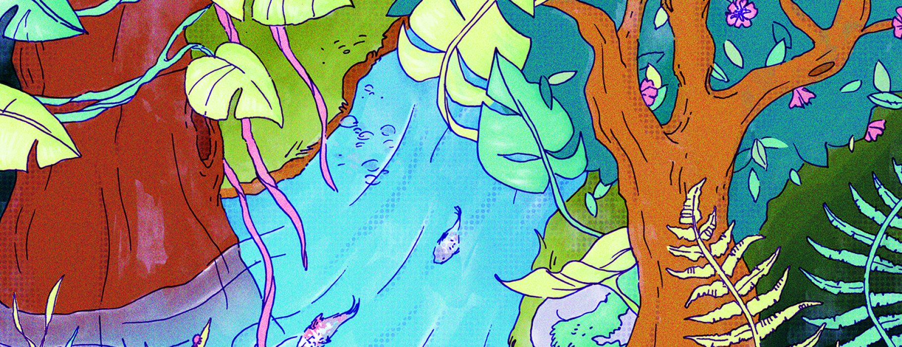 Illustration in bright colors of a stream flowing through a forest. Fish swim, ferns curl, and trees branch in exaggerated ways.